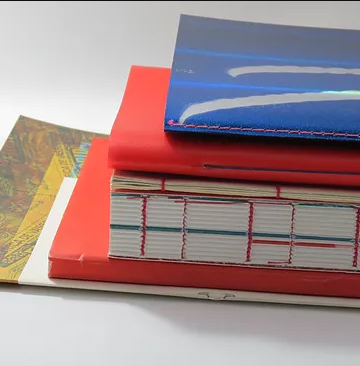 Livros e Costuras